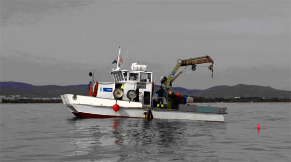 Obras de mantenimento del emisario submarino de la depuradora de la Murtra (Gavà Mar - Viladecans) (Enero de 2009)